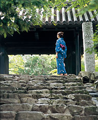 秋月 写真