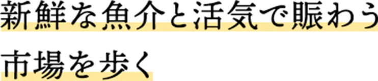 新鮮な魚介と活気で賑わう市場を歩く