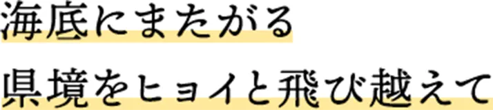 海底にまたがる県境をヒョイと飛び越えて