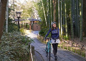 東部・伊豆エリアのイメージ