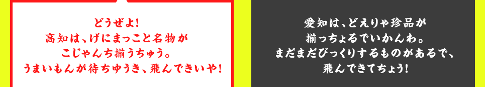 龍馬「どうぜよ！高知は、げにまっこと名物がこじゃんち揃うちゅう。うまいもんが待ちゆうき、飛んできいや！」信長「愛知は、どえりゃ珍品が揃っちょるでいかんわ。まだまだびっくりするものがあるで、飛んできてちょう！