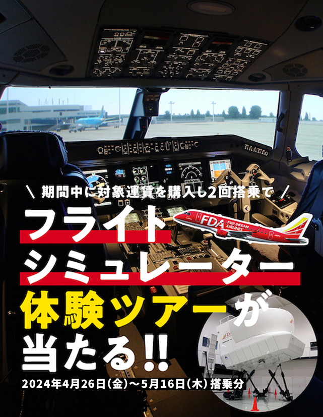フライトシミュレーター体験ツアー
