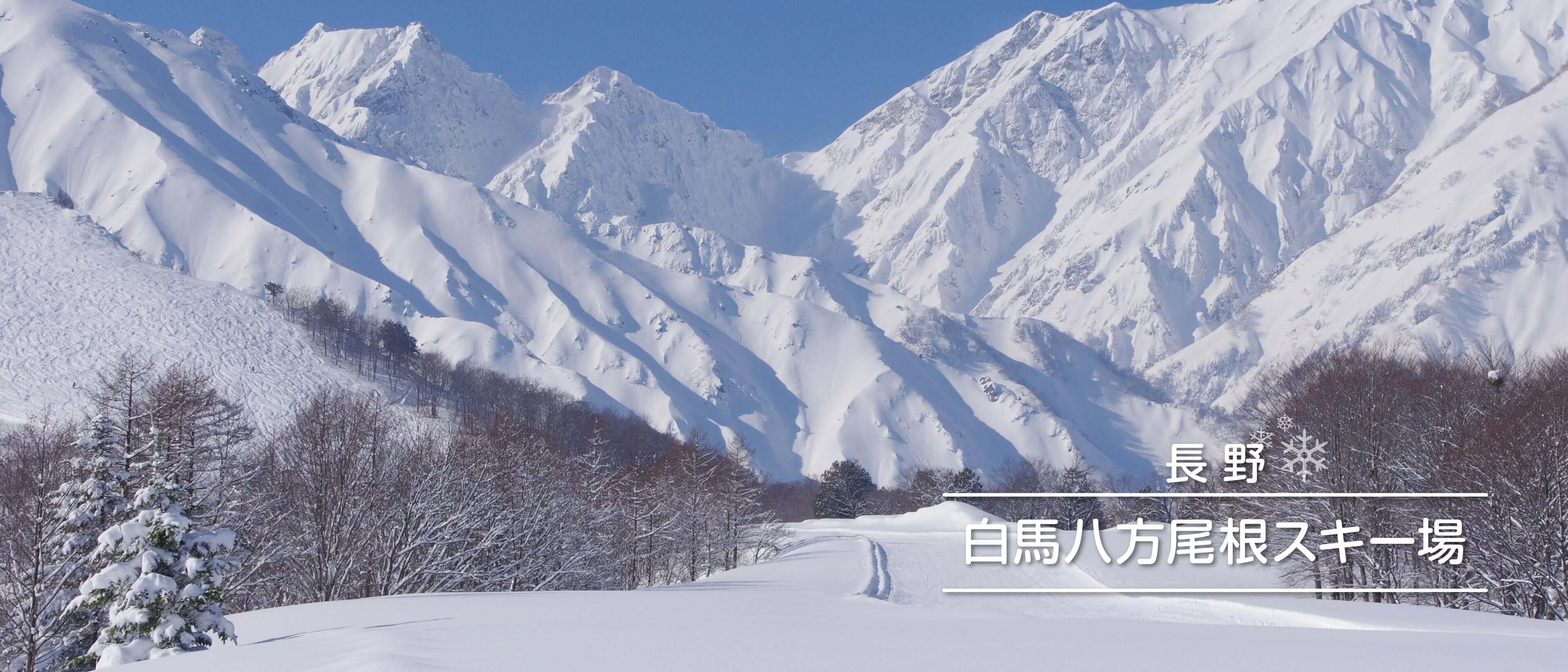 長野　白馬八方尾根スキー場