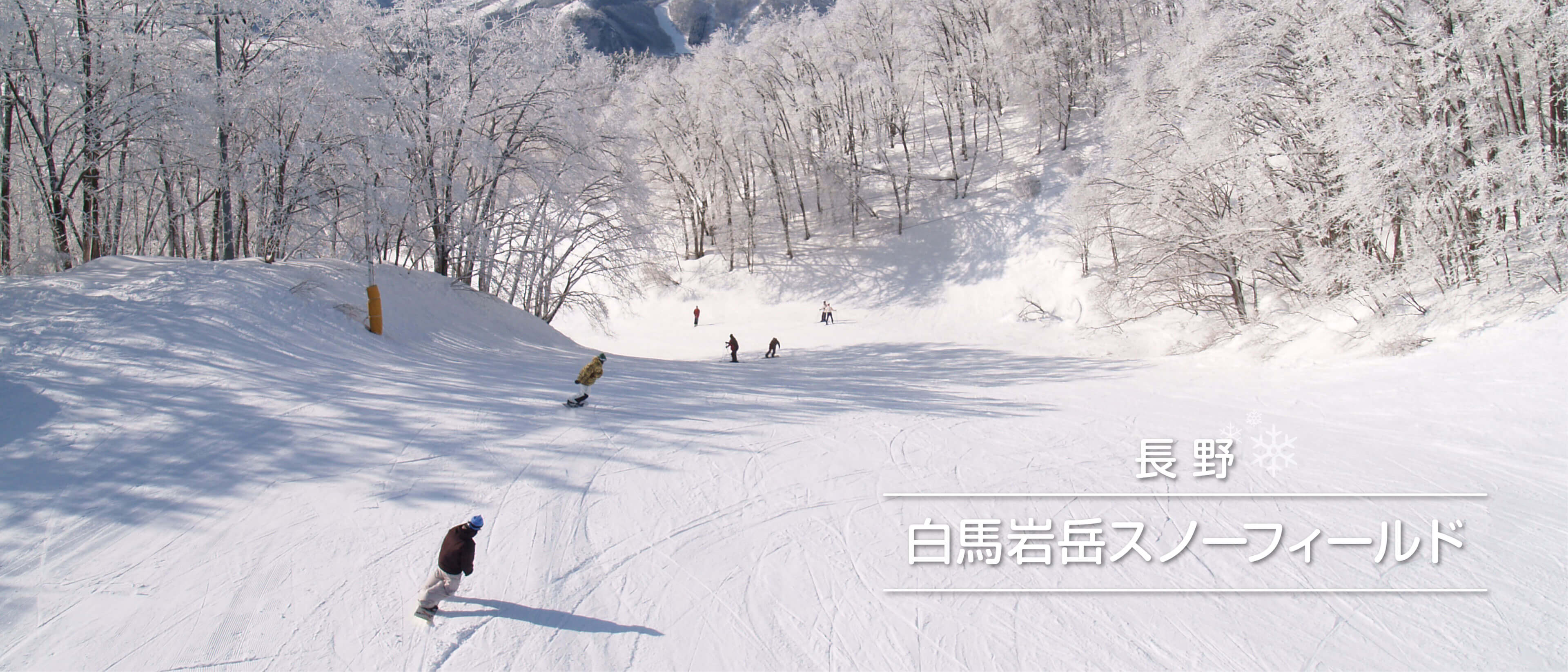 長野　白馬岩岳スノーフィールド