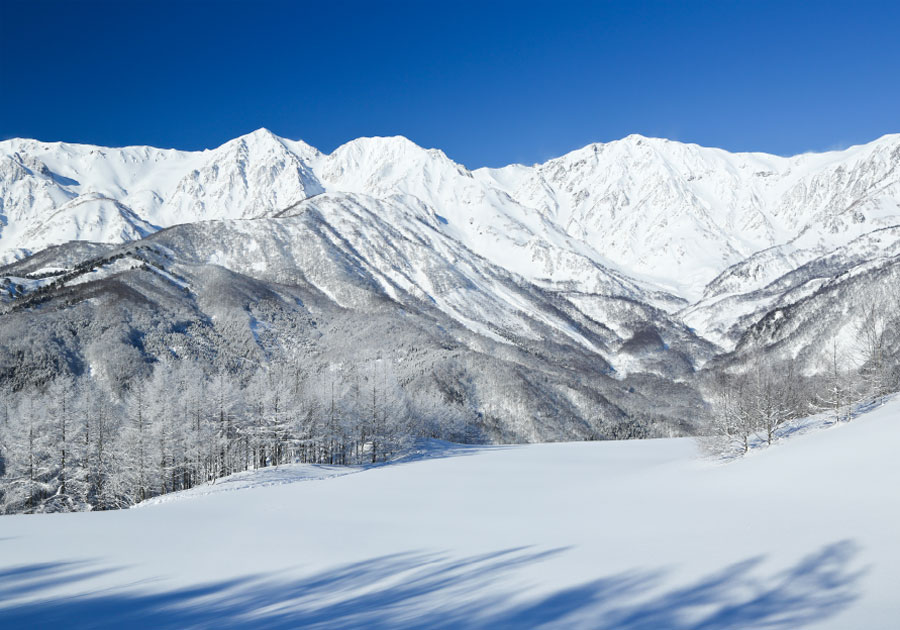 白馬岩岳スノーフィールド