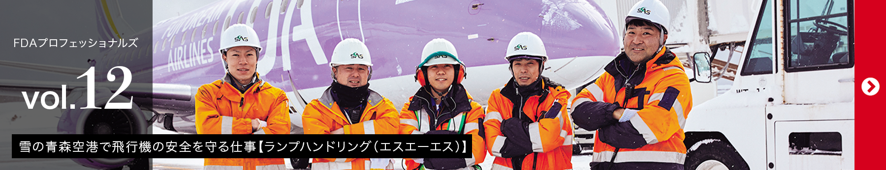 FDAプロフェッショナルズvol.12