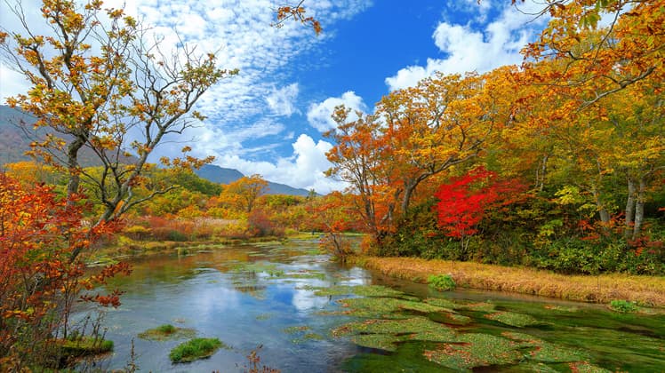 秋こそ青森