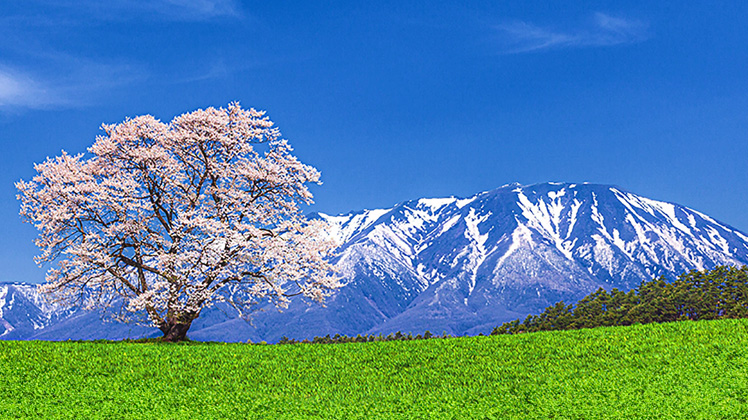 ロマン感じる岩手旅