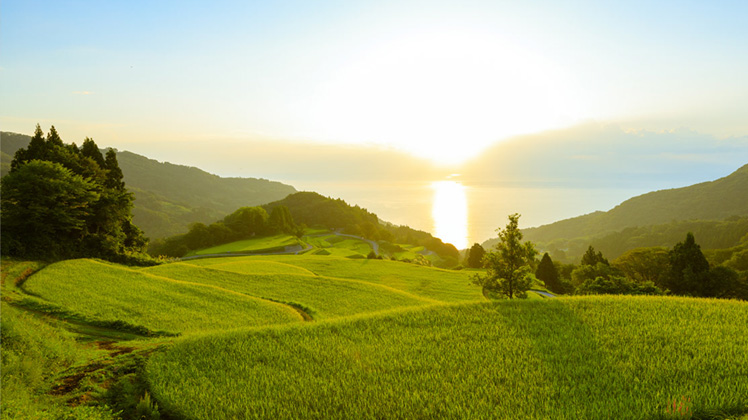 新潟・佐渡の旅