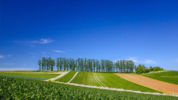 両手いっぱいに空と大地を抱く旅