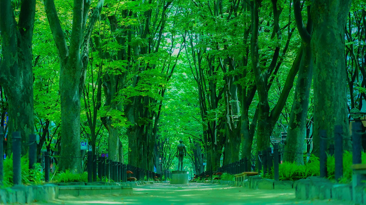 杜の都・仙台をめぐる粋な旅