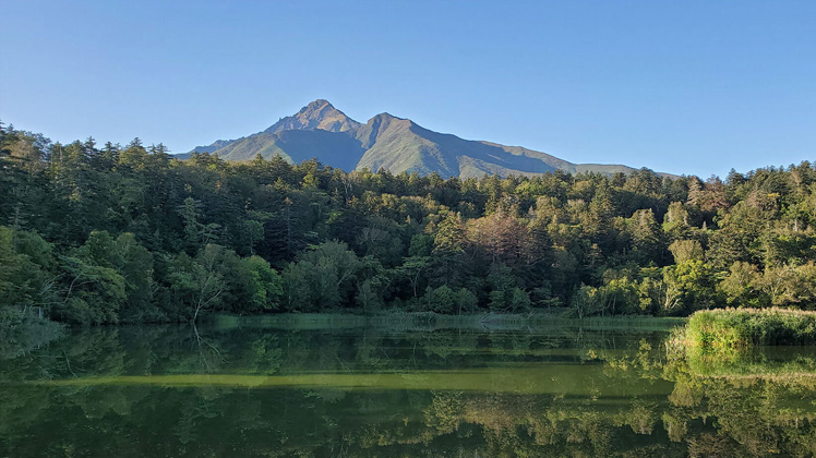 最北の旅へ 生命の輝きを感じる 稚内・利尻・礼文旅