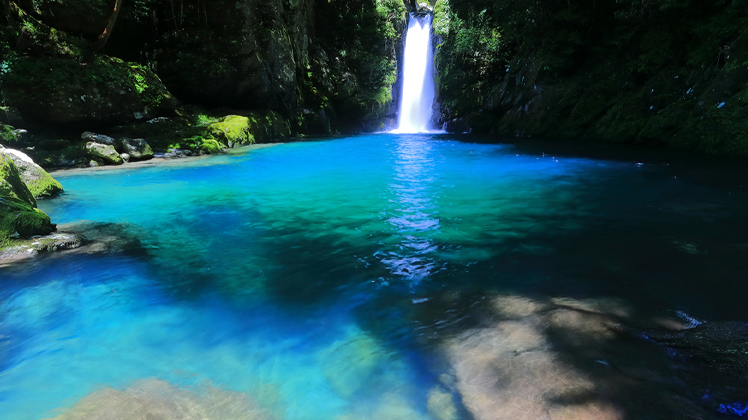 ひかり浴びる高知旅
