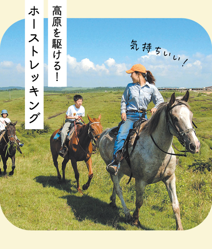 高原を駆け抜ける！ホーストレッキング