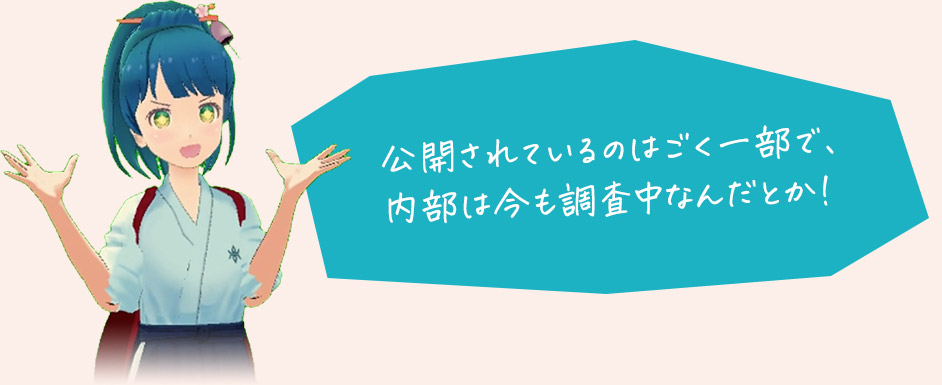 公開されているのはごく一部で、内部は今も調査中なんだとか!