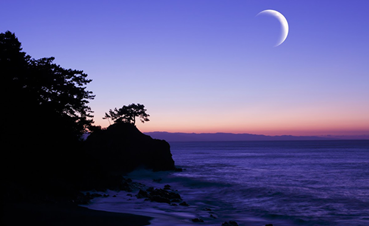 桂浜と月
