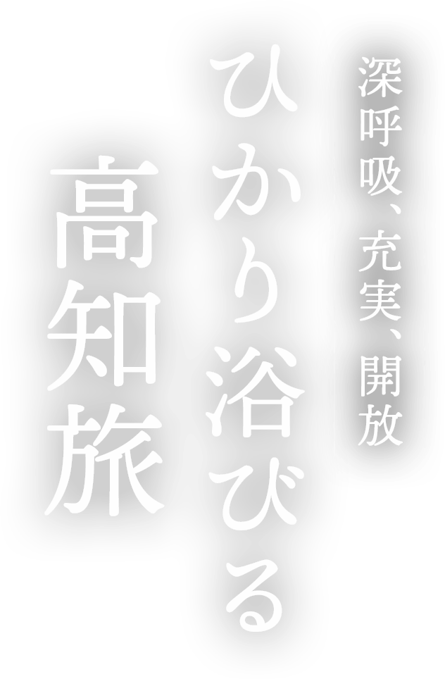 ひかり浴びる高知旅