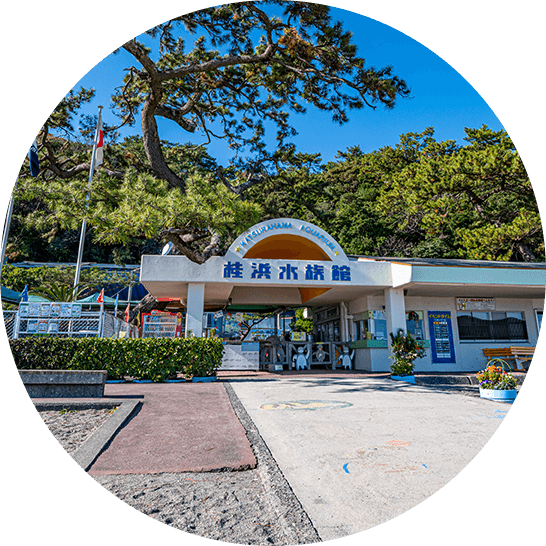 桂浜水族館