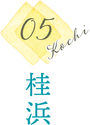 桂浜