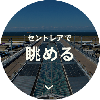 セントレアで眺める
