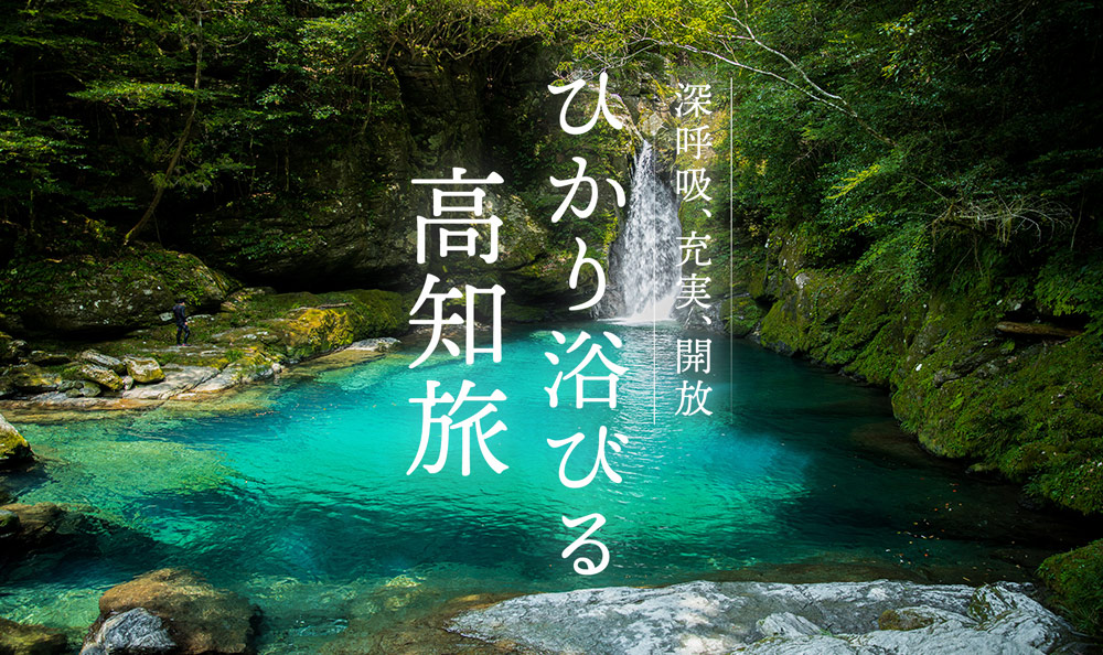 ひかり浴びる高知旅