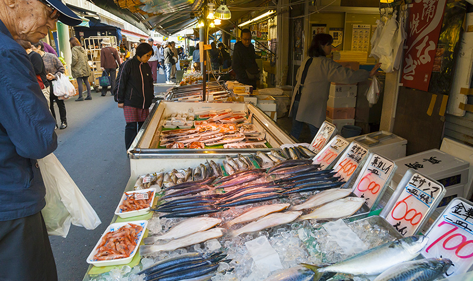 仙台朝市に並ぶ新鮮な魚