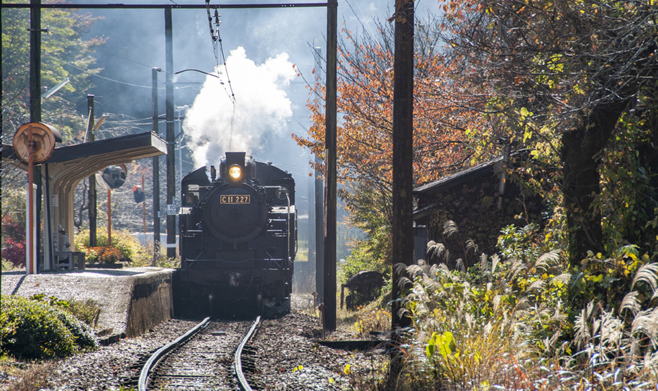 大井川鉄道のSL