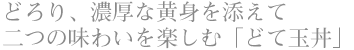 どろり、濃厚な黄身を添えて二つの味わいを楽しむ「どて玉丼」