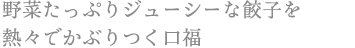 野菜たっぷりジューシーな餃子を 熱々でかぶりつく口福