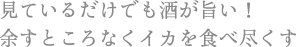見ているだけでも酒が旨い!余すところなくイカを食べ尽くす
