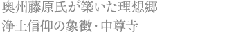 奥州藤原氏が築いた理想郷 浄土信仰の象徴・中尊寺