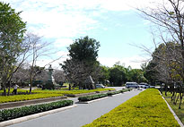 公園