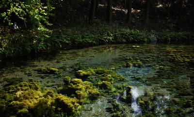 白川水源 地面