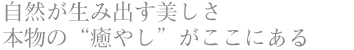 自然が生み出す美しさ 本物の“癒やし”がここにある