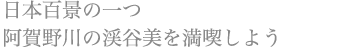 日本百景の一つ 阿賀野川の渓谷美を満喫しよう