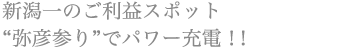 新潟一の御利益スポット“弥彦参り”でパワー充電！！