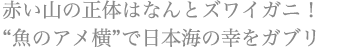 赤い山の正体はなんとズワイガニ！“魚のアメ横”で日本海の幸をガブリ
