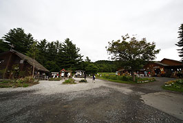 麓郷の森