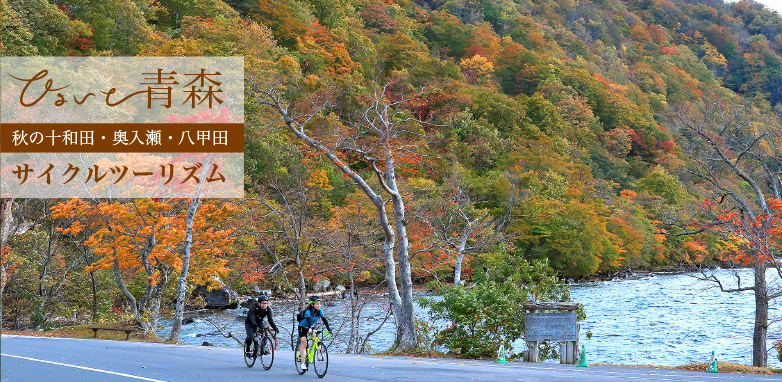 ひょいと青森 秋の十和田・奥入瀬・八甲田　サイクルツーリズム 十和田から奥入瀬へ