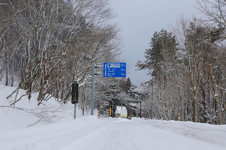 八甲田 スキー 場