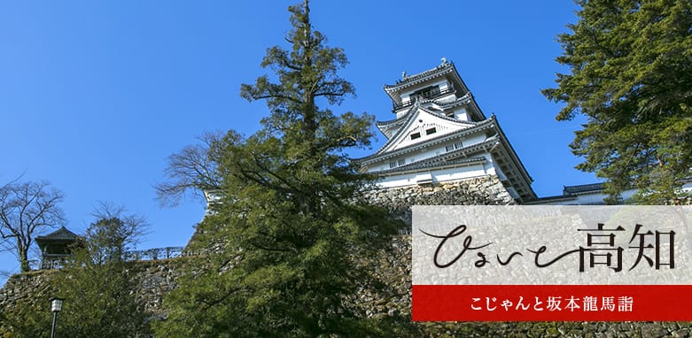 こじゃんと坂本龍馬詣 維新の士を偲ぶ 土佐詣