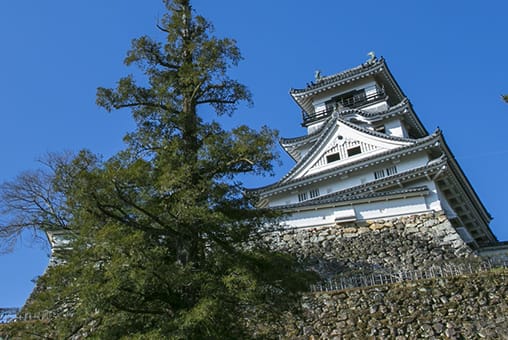 維新の士を偲ぶ土佐詣