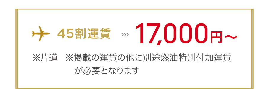 <45割運賃>17,000円〜 ※片道 ※掲載の運賃の他に別途燃油特別付加運賃が必要となります