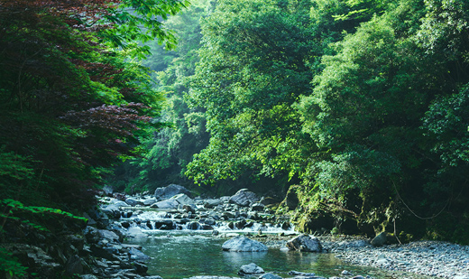 高知