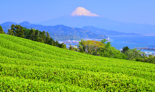 静岡