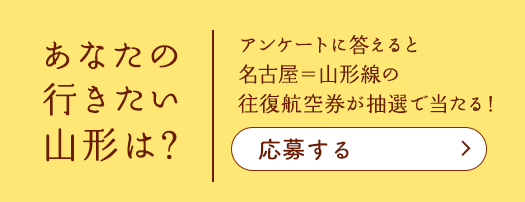 心をほっと癒す 山形冬の旅 フジドリームエアラインズ Fda